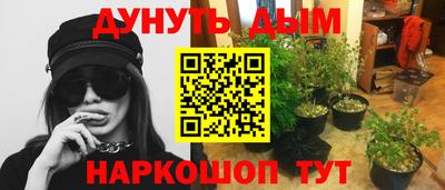 прущие грибы Краснокаменск
