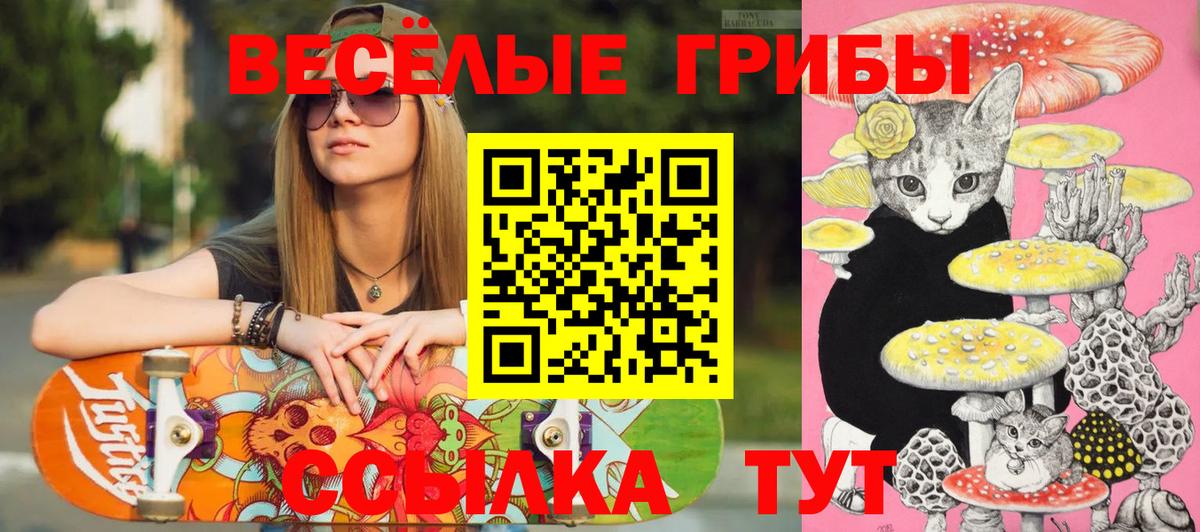 Городец  Галлюциногенные грибы прущие грибы  Вход с VPN  Псилоцибиновые грибы мухоморы 