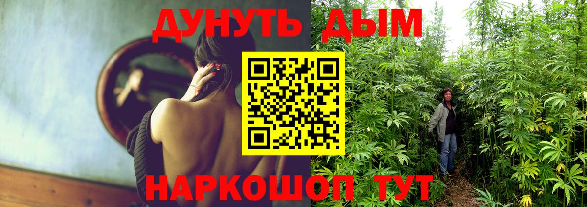Конопля OG Kush  Бошки Шишки THC 21%  Городец  Шишки марихуана марихуана  Вход с VPN  МАРИХУАНА Bruce Banner 
